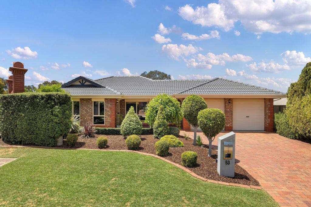 53 Reordan Dr, Greenwith, SA 5125