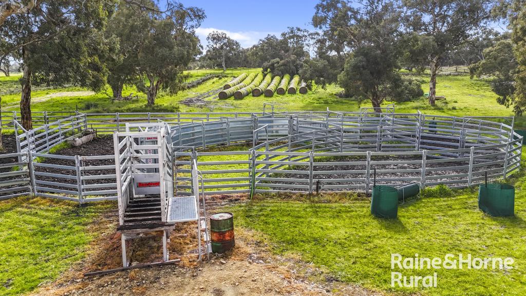 555 MAIL BRIDGE RD, REEDY CREEK, SA 5275