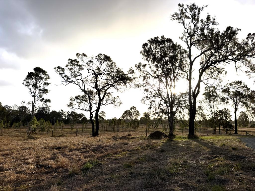 LOT 4 MAYNE ST, TIARO, QLD 4650