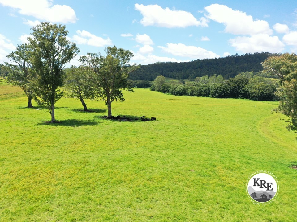 1100 Iron Pot Creek & Ghinni Ghi Roads, Kyogle, NSW 2474