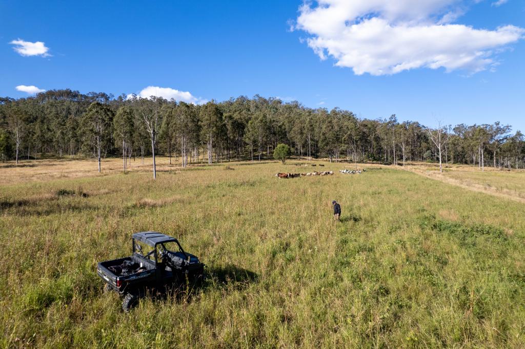 Contact Agent For Address, Ottaba, QLD 4313