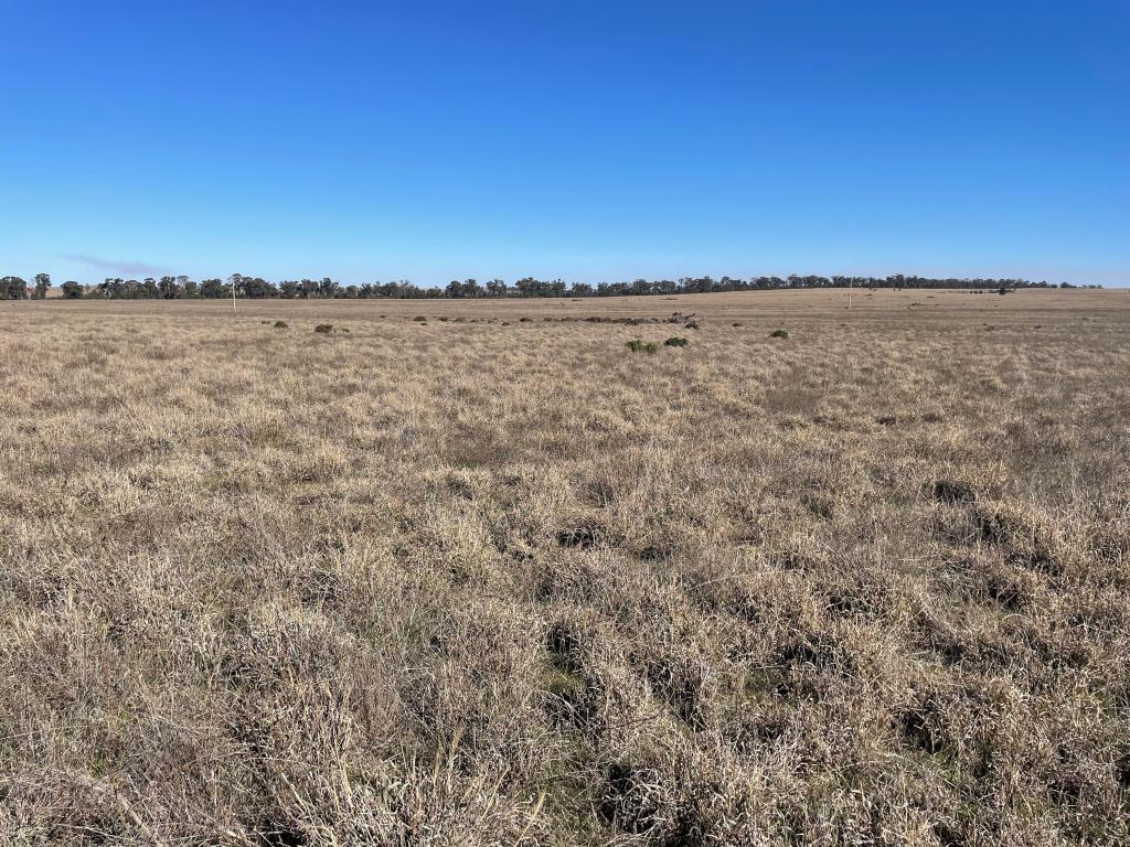 1826 Tallimba Rd, West Wyalong, NSW 2671