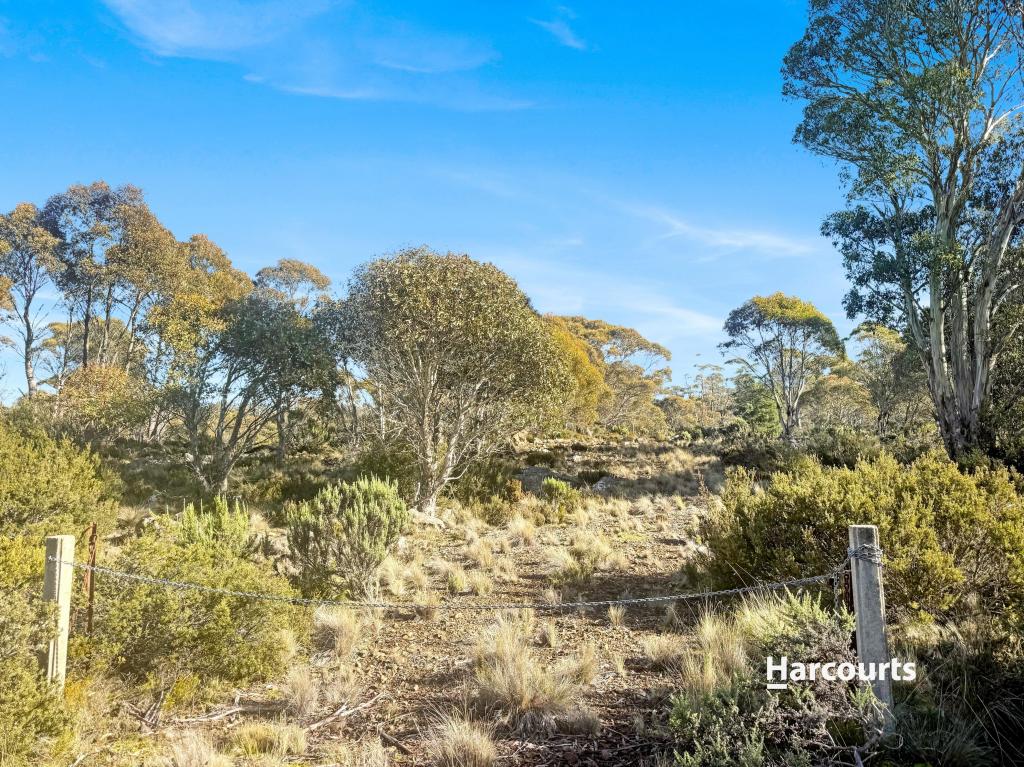 55 FLEMING DR, MIENA, TAS 7030