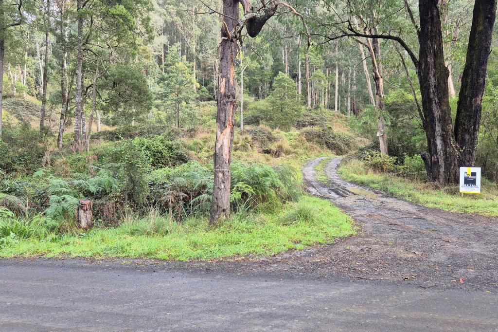 LOT 3 COOPERS CREEK RD, COOPERS CREEK, VIC 3825