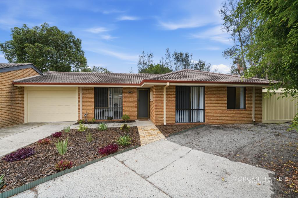 14/79 Barbican St, Shelley, WA 6148