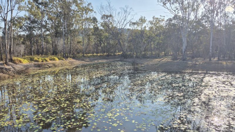 Contact Agent For Address, Silver Valley, QLD 4872