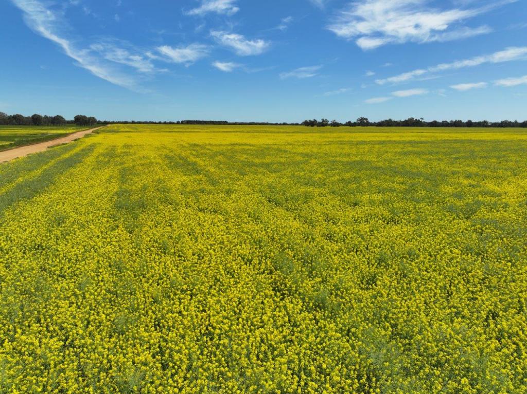 Lot 1 Coughlins Rd, Hunter, VIC 3558