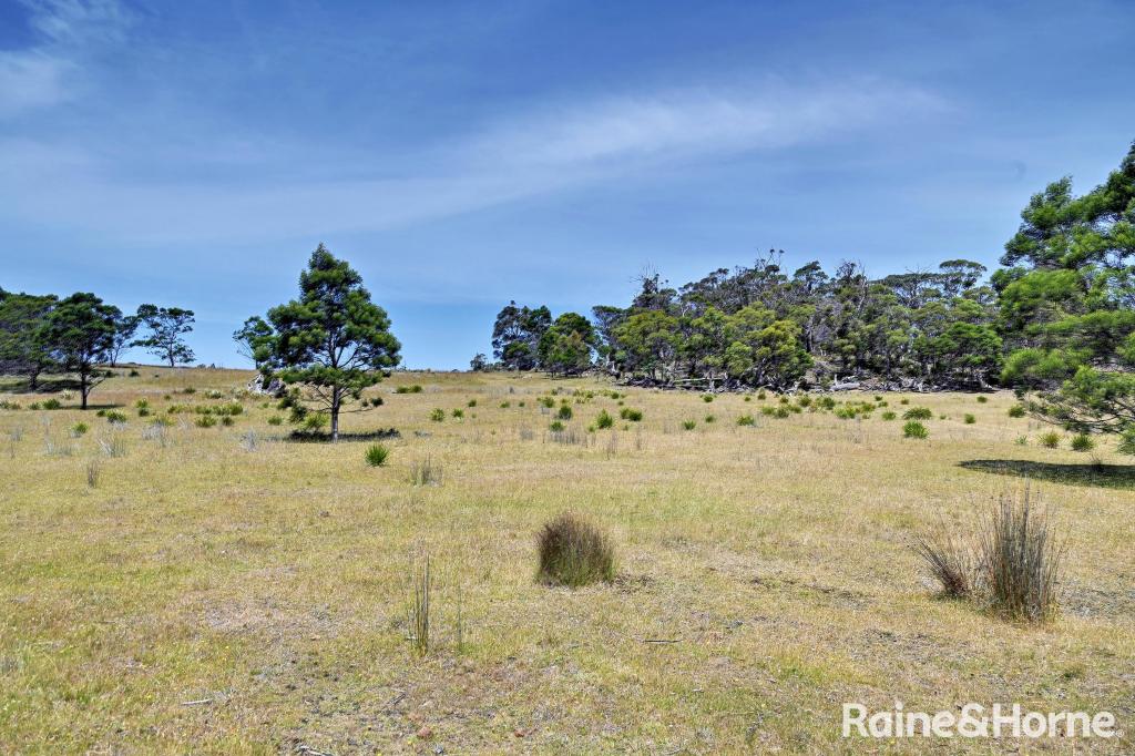 Lot 1 Bresnehans Rd, Little Swanport, TAS 7190