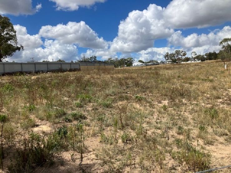 LOTS 257 & 258 MICALE LANE, GLEN APLIN, QLD 4381