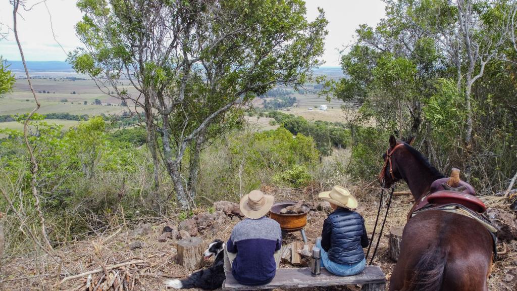 LOT 7 PINCOTT ROAD, MOUNT COLLIERY, QLD 4370