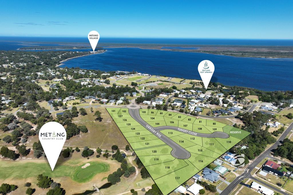 LOT 118 THE WEDGE, METUNG, VIC 3904