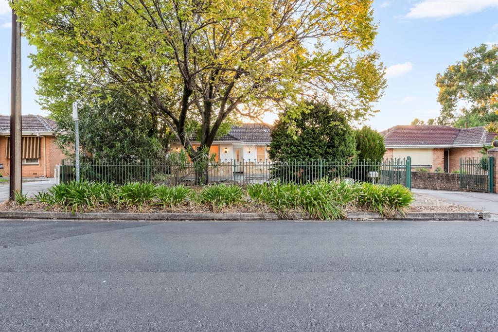 52 Balmoral Ave, Magill, SA 5072