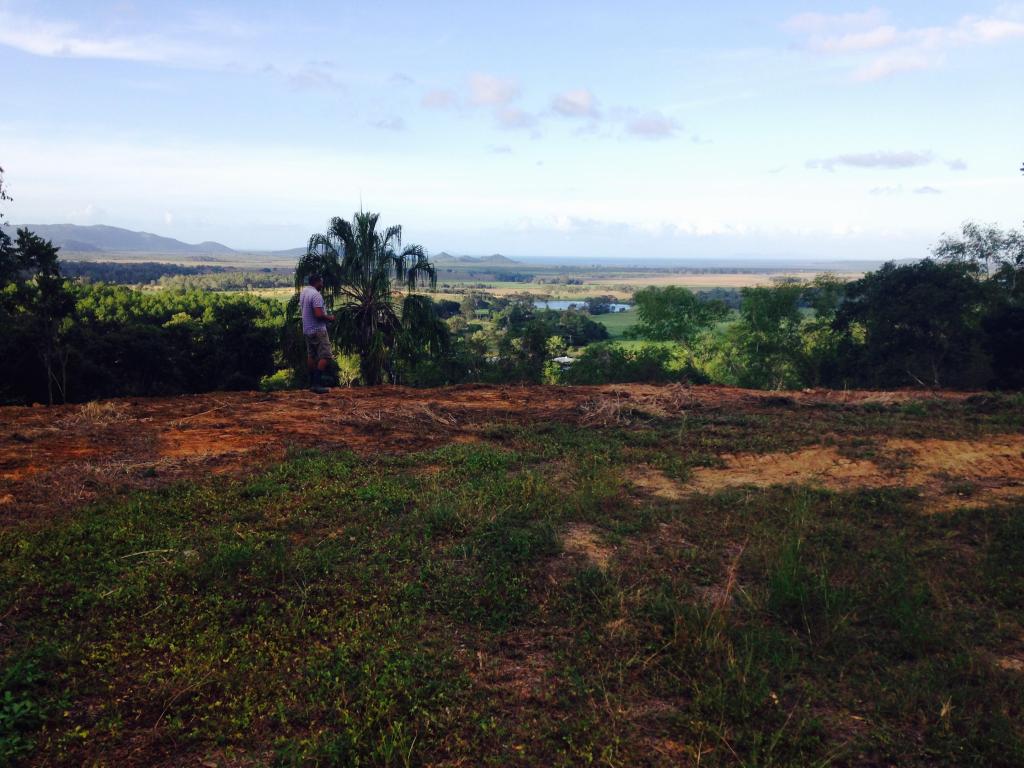 1243 Yakapari-Seaforth Rd, Mount Jukes, QLD 4740