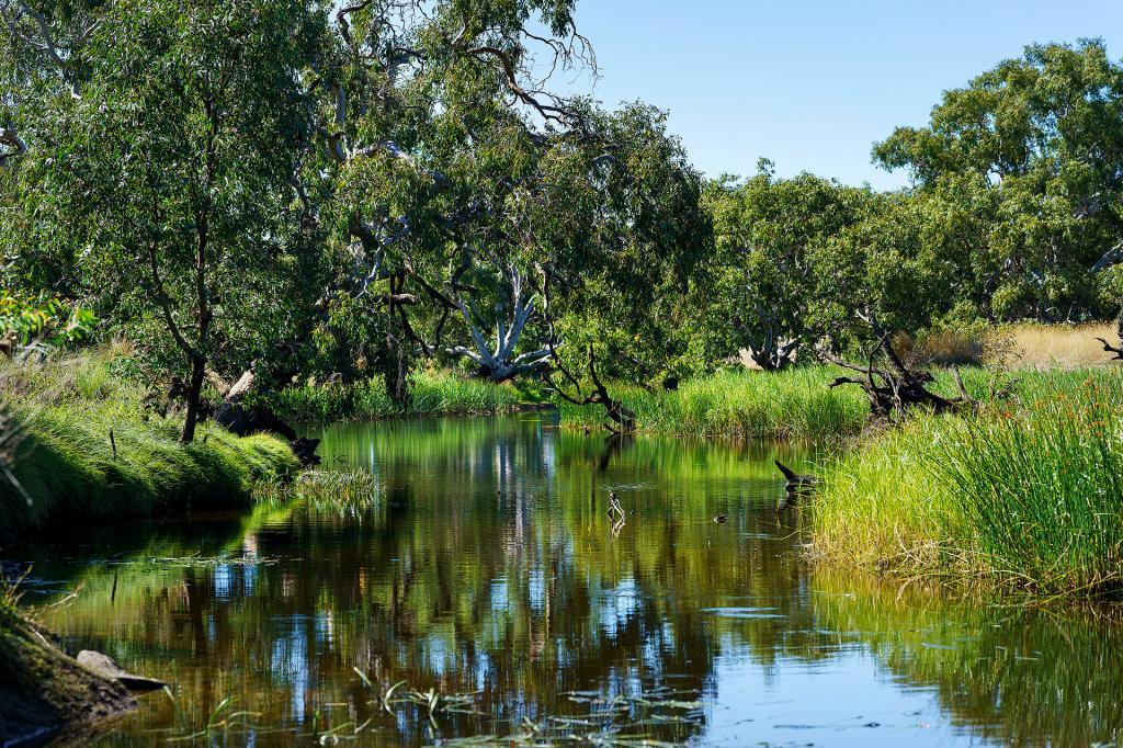  Fairie St, Hexham, VIC 3273