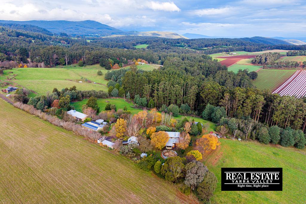 117 Spraggs Rd, Toolangi, VIC 3777