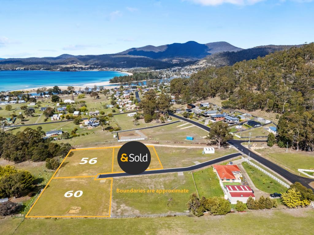 56 & 60 Alma Rd, Orford, TAS 7190