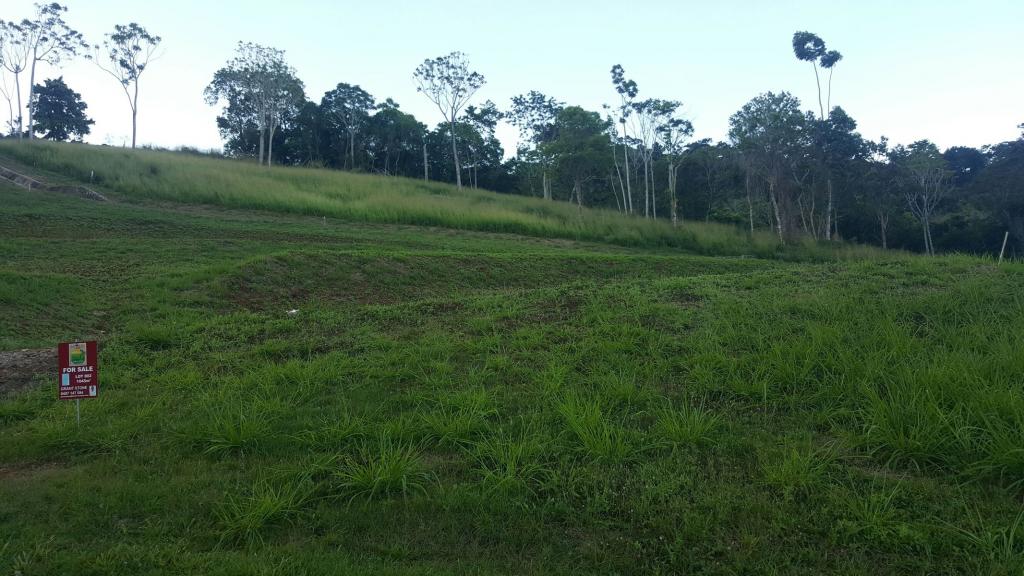 Lot 802 Red Peak Boulevard, Red Peak Forest Estate, Caravonica, QLD 4878