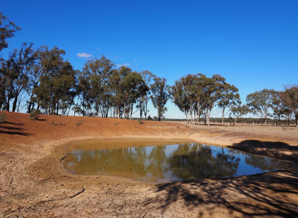 74 Deadhorse Lane, Bowenvale, VIC 3465