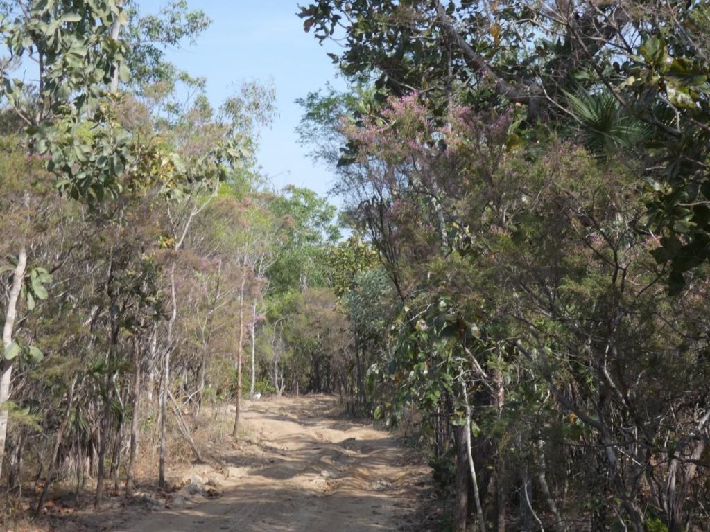 415 Reed Beds Rd, Berry Springs, NT 0838