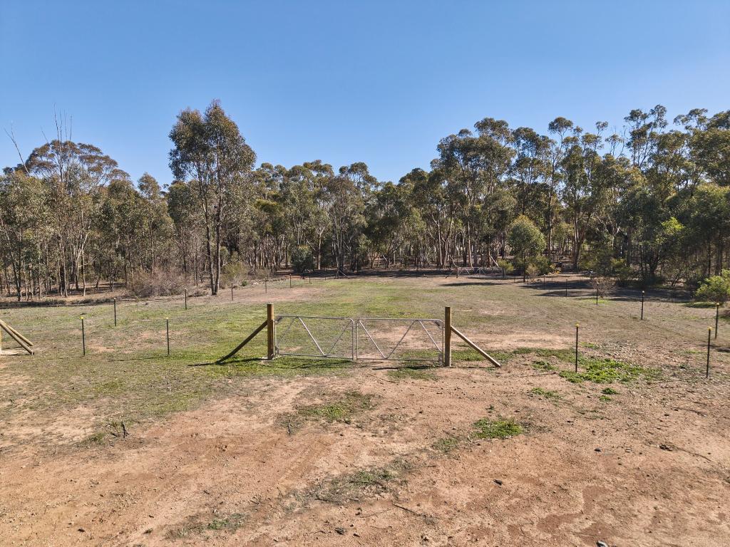 Ca2 Costerfield - Redcastle Rd, Costerfield, VIC 3523
