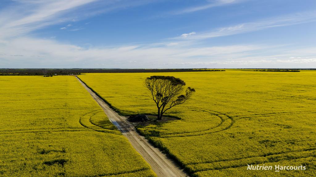 . Kendall Rd, Scaddan, WA 6447