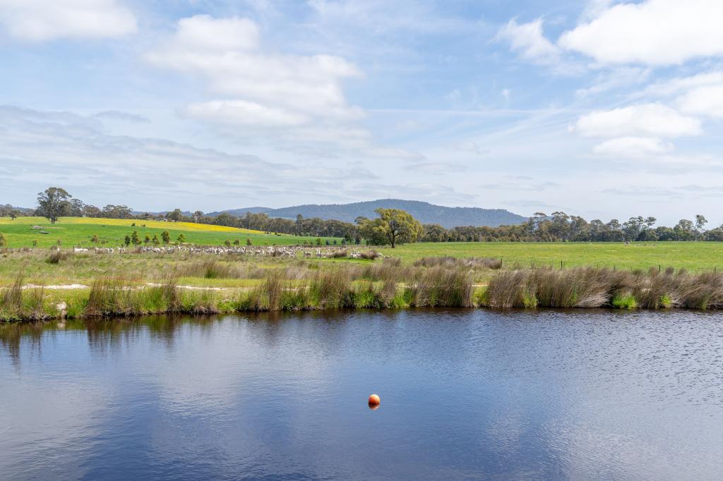 315 Coach Rd, Strathbogie, VIC 3666