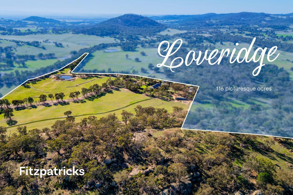 6361 Holbrook Rd, Gelston Park, NSW 2650