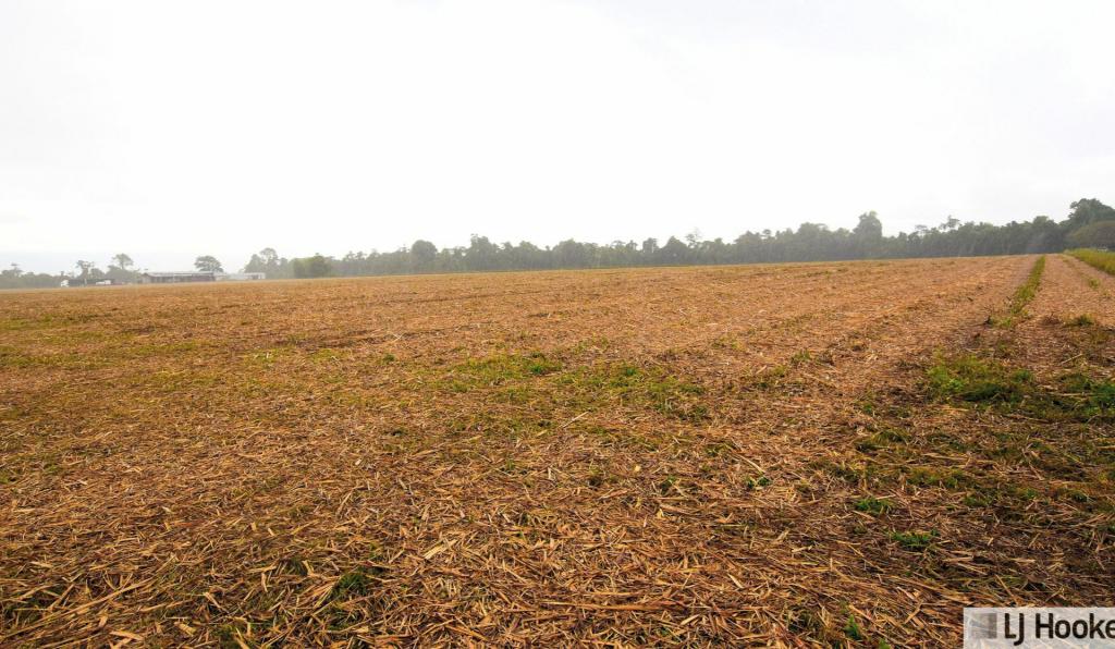 262870 Gibbs Rd, Munro Plains, QLD 4854