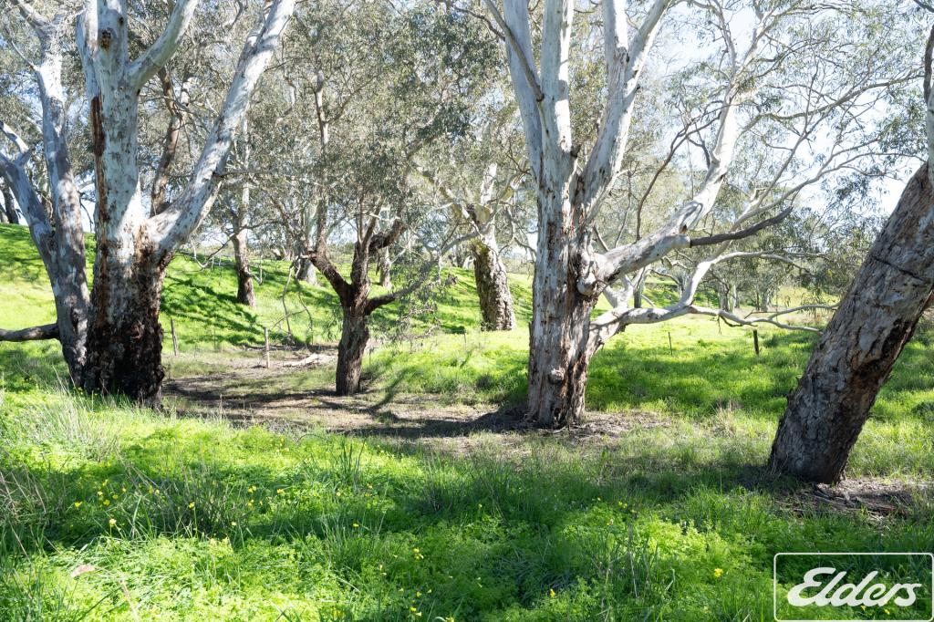 200 Braeside Rd, Finniss, SA 5255