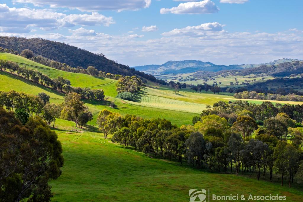 Lot 2/Ps917939 Indigo Creek Rd, Indigo Valley, VIC 3688