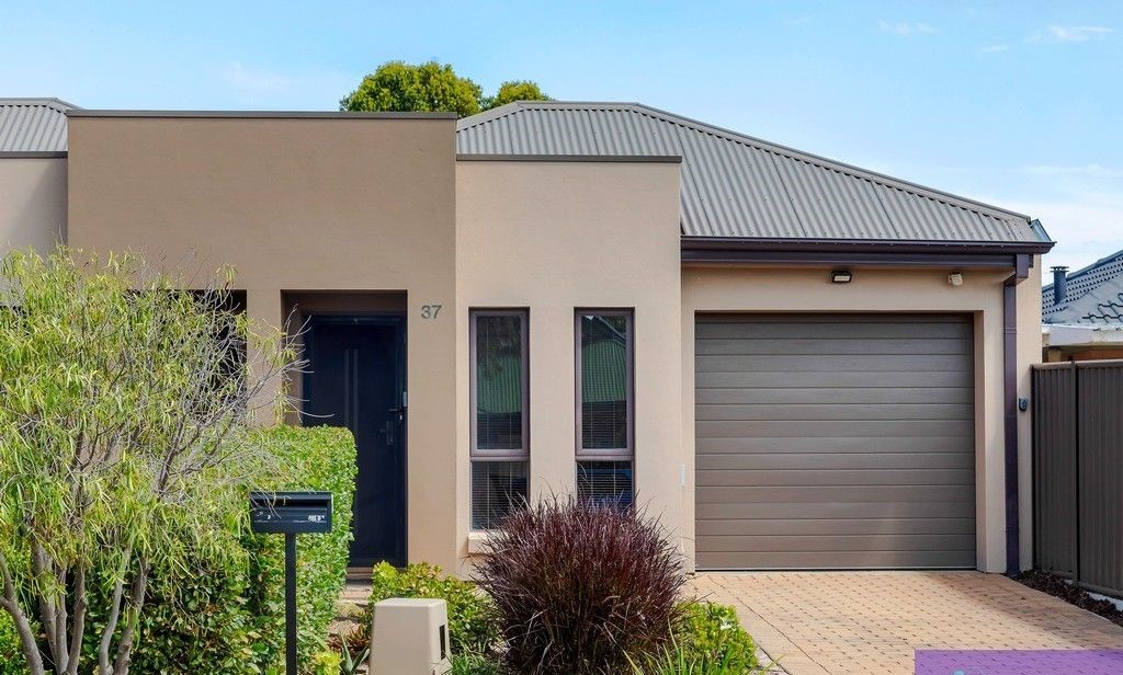 37 Waterman Tce, Mitchell Park, SA 5043