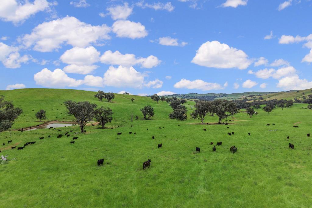 OLD WAUGOOLA RD, WOODSTOCK, NSW 2793