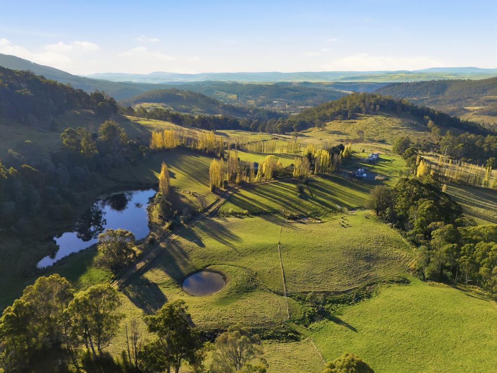 460 Dry Poles Rd, Ellendale, TAS 7140