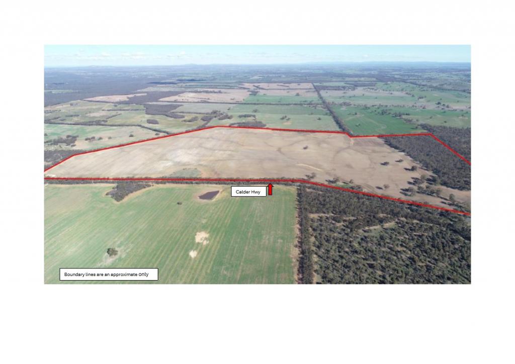 54/54 Calder Hwy, Wedderburn, VIC 3518