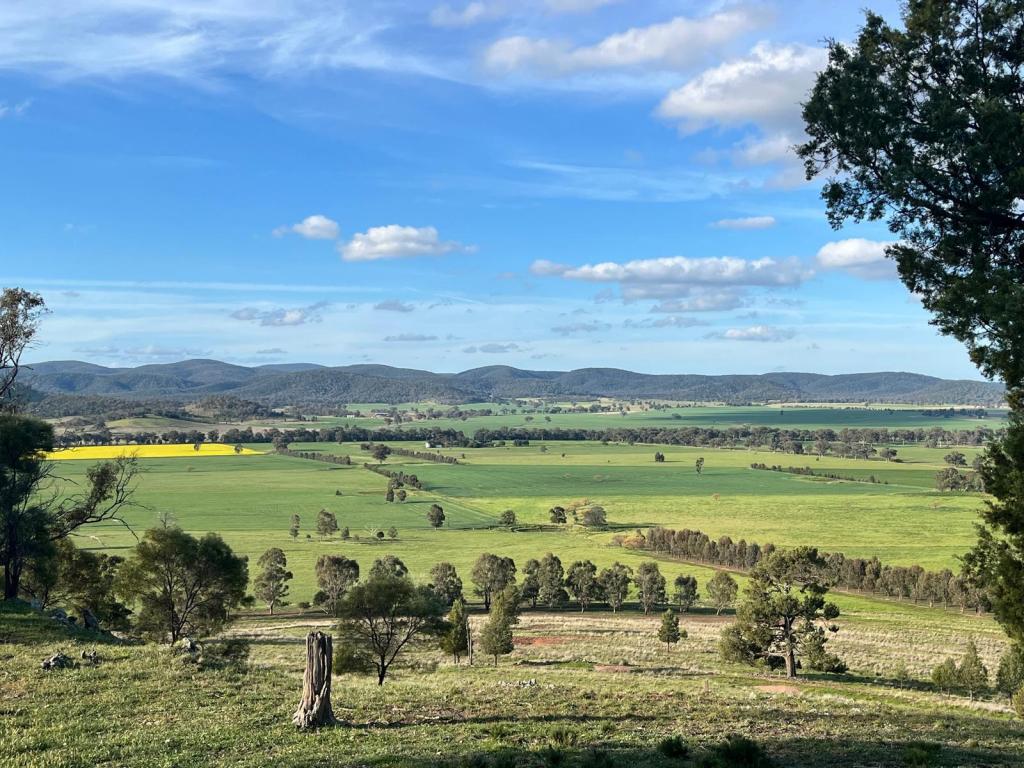 92 Campbells Lane, Canowindra, NSW 2804