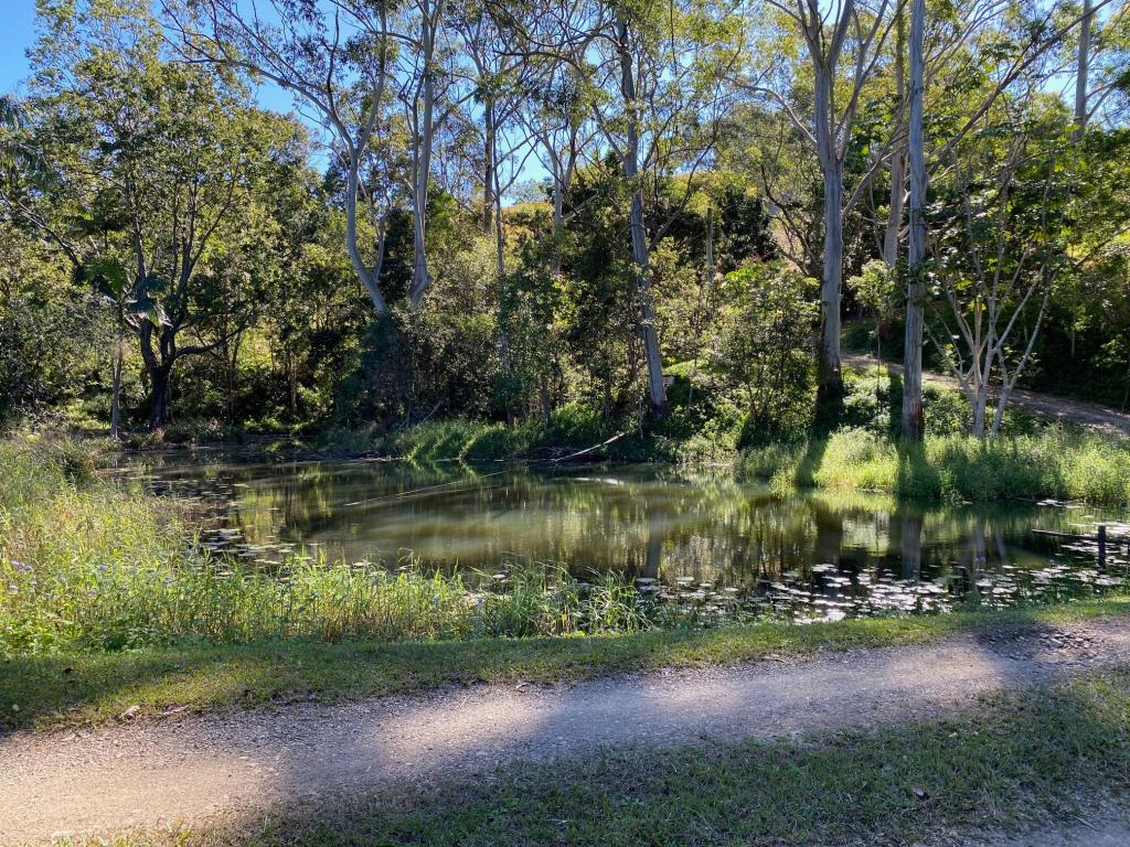 Contact Agent For Address, Cooroy, QLD 4563