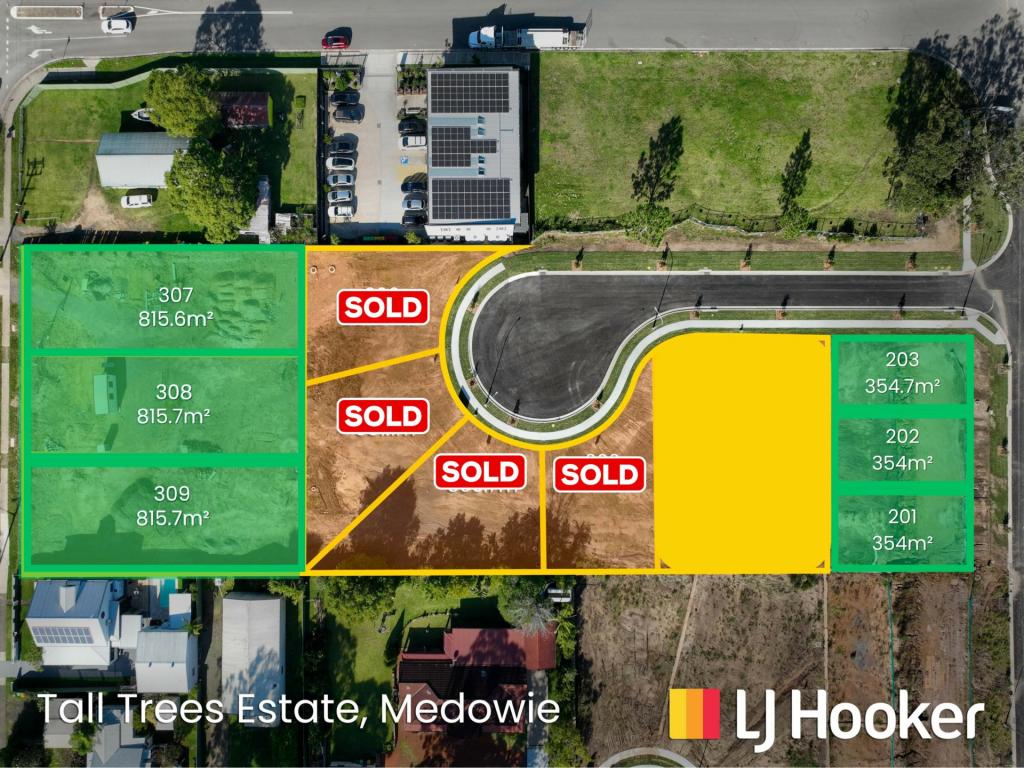 LOT 307-309 + 201-203/799 MEDOWIE RD, MEDOWIE, NSW 2318