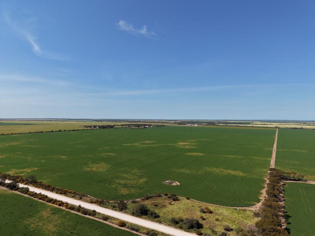 Section 239 Beare Rd, Kadina, SA 5554