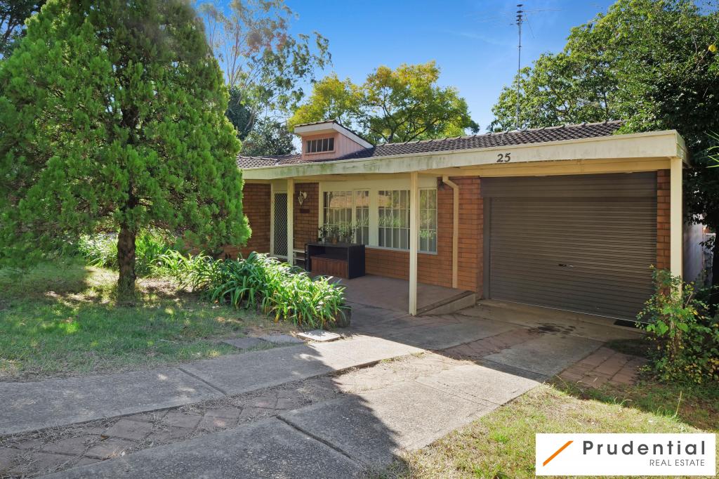 25 Lawn Ave, Bradbury, NSW 2560