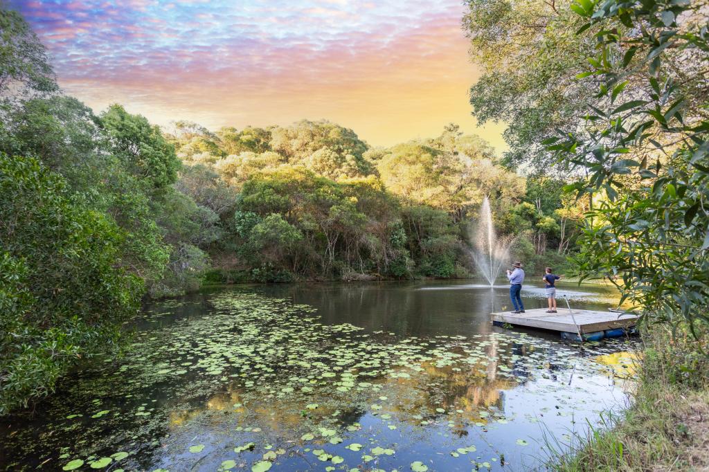 18 Brush Box Lane, Federal, QLD 4568