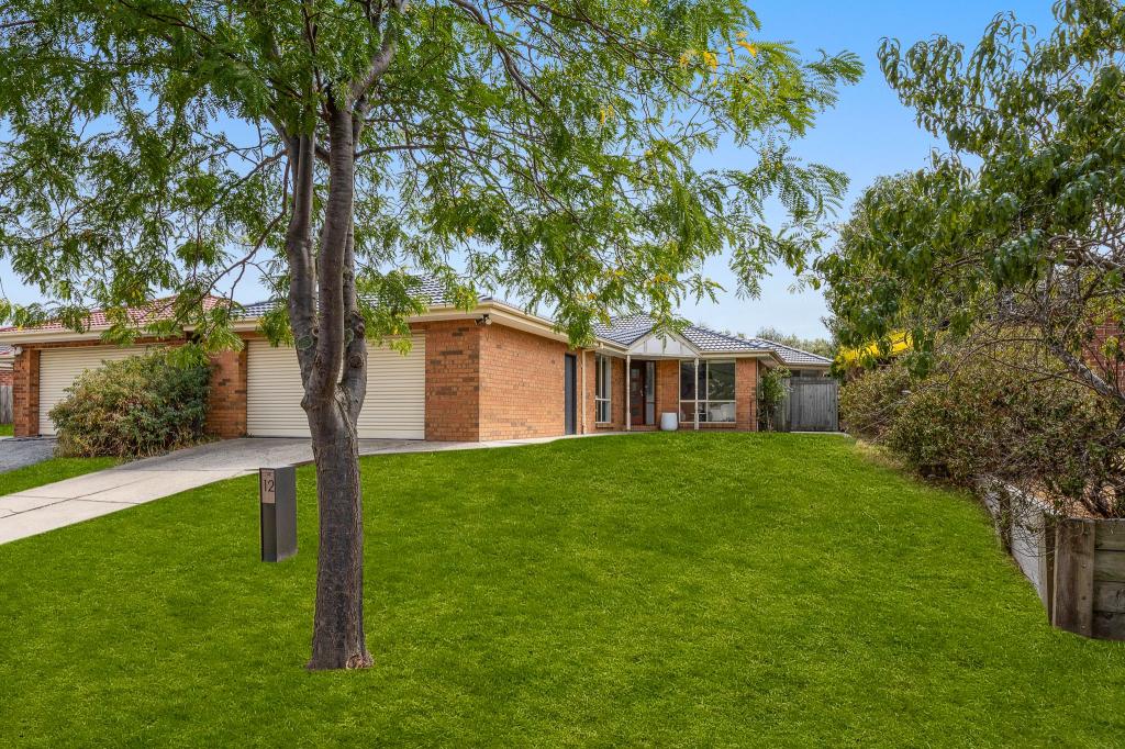 12 Shaftsbury Ave, Berwick, VIC 3806