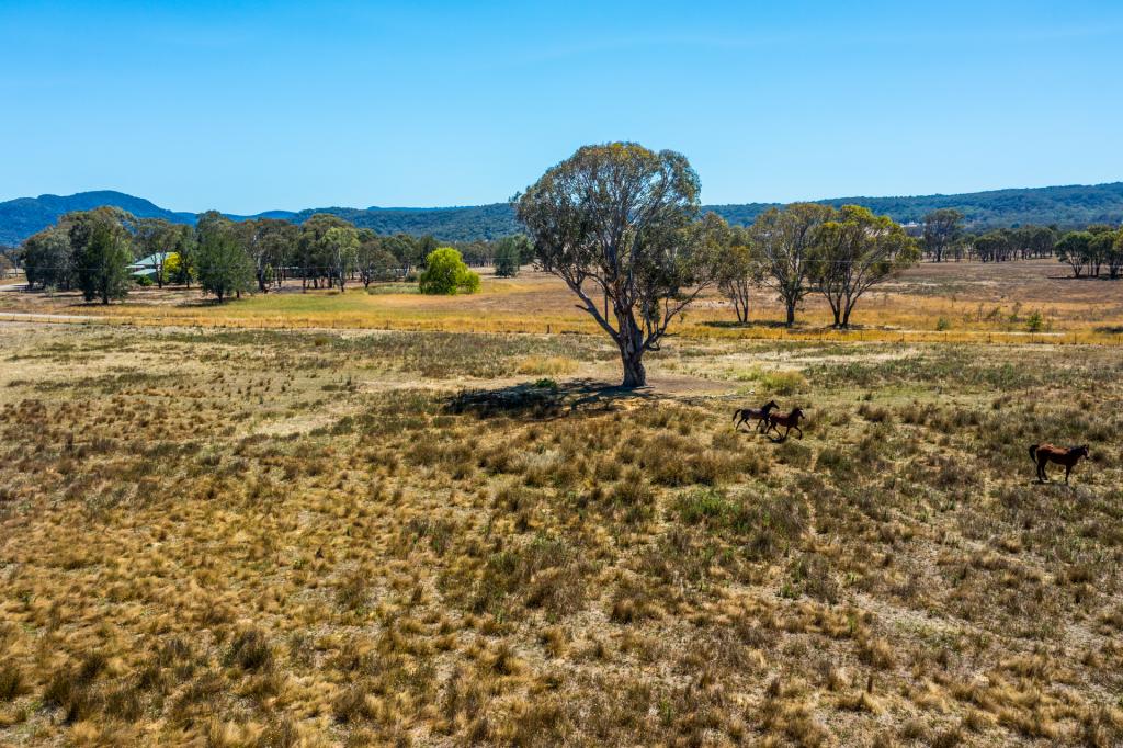 271 Pyangle Rd, Rylstone, NSW 2849