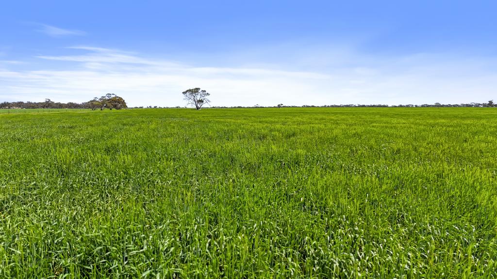 714 Buccleuch South Rd, Yumali, SA 5261