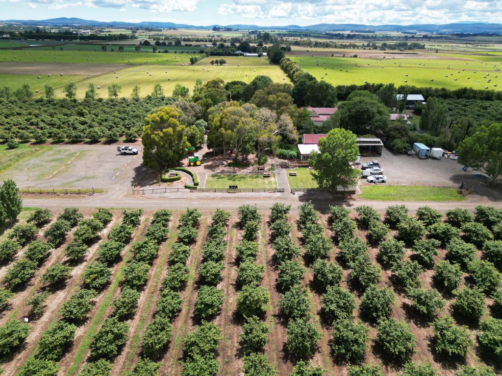 127 Hagley Station Lane, Hagley, TAS 7292