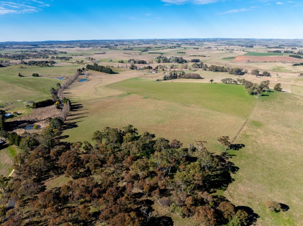 706-709 Beneree Rd, Forest Reefs, NSW 2798