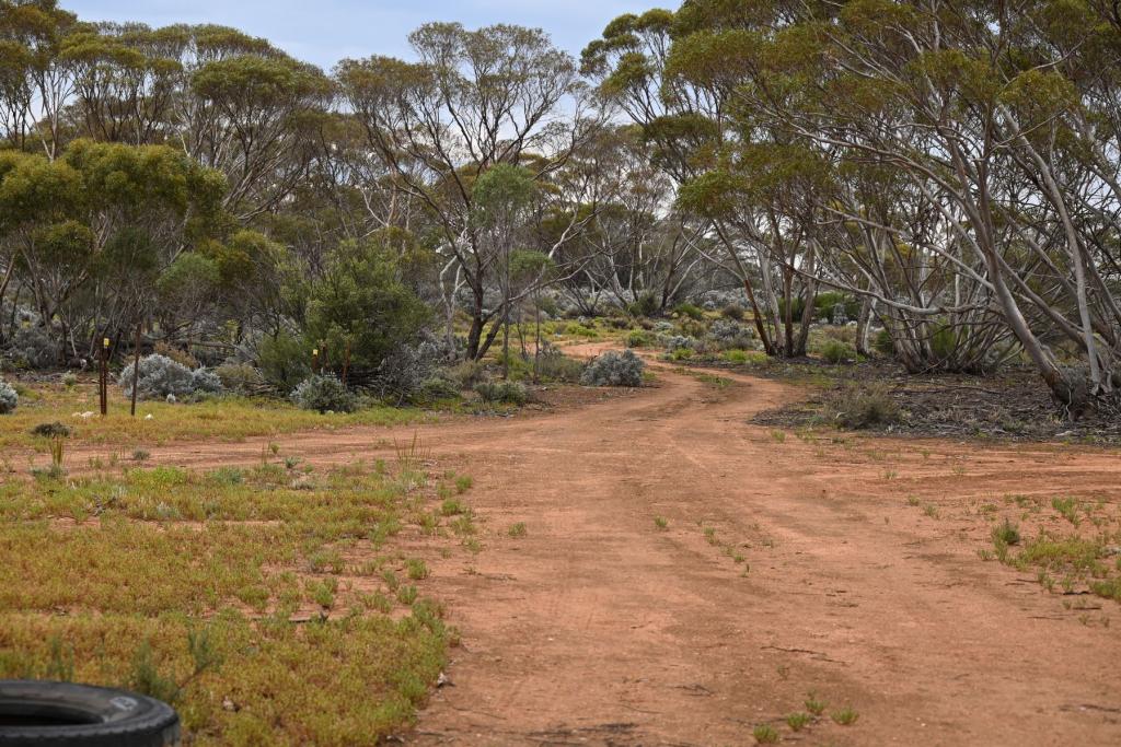 Lot 291 Pat Hydes Rd, Morgan, SA 5320