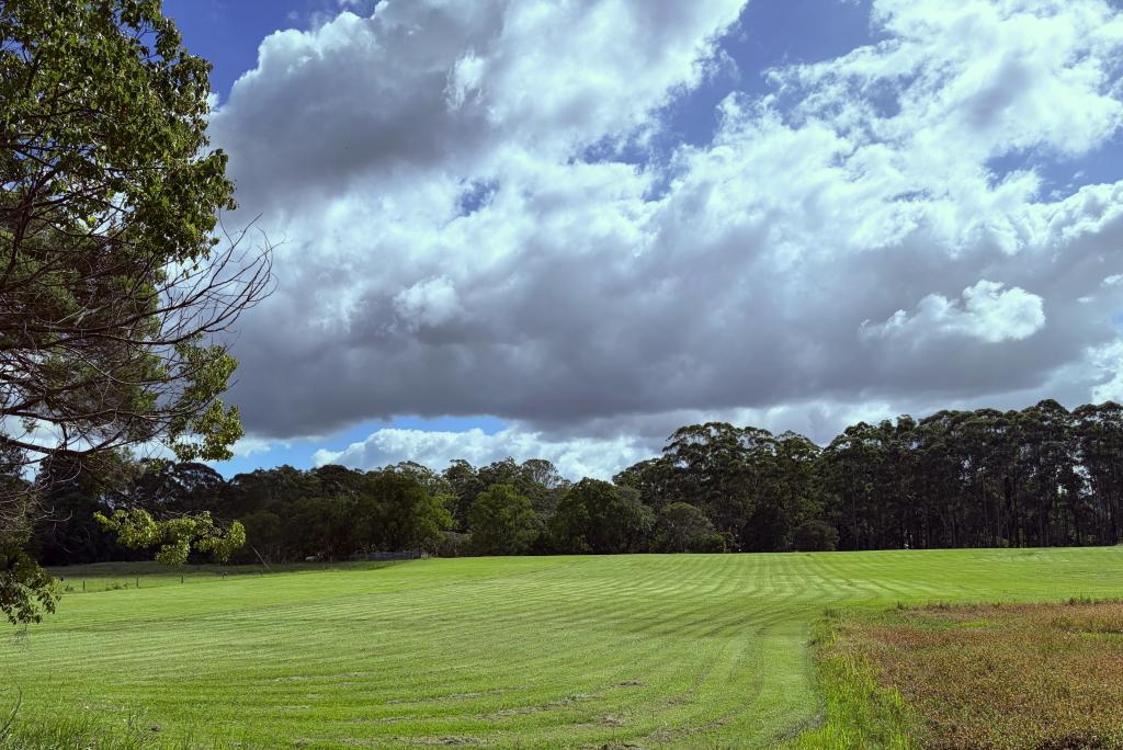 115 Mcpherson Rd, Mardi, NSW 2259