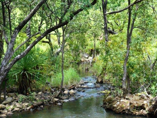 555 Daly River Rd, Adelaide River, NT 0846