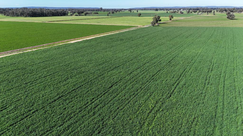 3412 BEDGERABONG RD, FORBES, NSW 2871