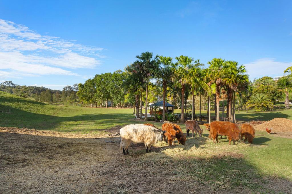 33 Aroona Cres, Bilambil, NSW 2486